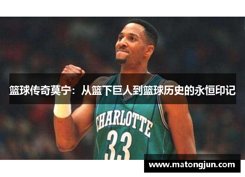 篮球传奇莫宁：从篮下巨人到篮球历史的永恒印记
